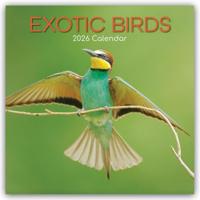 Exotische Vogels Kalender 2026 - thumbnail