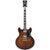 D'angelico Premier DC Brown Burst