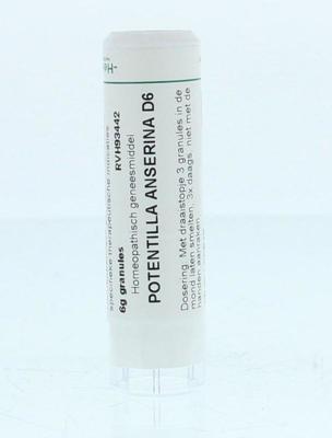 Homeoden Heel Potentilla anserina D6 6 Gram