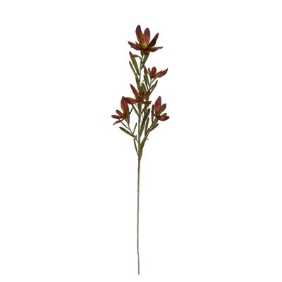 Leucadendron Kunsttak 89cm Burgundy