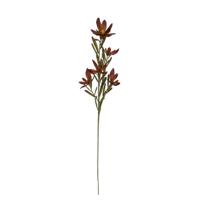 Leucadendron Kunsttak 89cm Burgundy - thumbnail