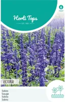Zaden Salvia Siersalie Victoria donkerblauw Hortitops - Hortitops - thumbnail