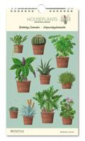 Houseplants Hortus Botanicus Verjaardagskalender - thumbnail