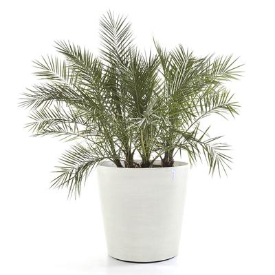 Ecopots Amsterdam op wielen kunststof bloempot Wit/Grijs - Ø 75,6 cm Ecopots Amsterdam op wielen kunststof bloempot Wit/Grijs - Ø 75,6 cm