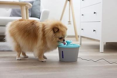 Stekpanna i gjuten aluminium - GSW - NATURLIG PASSFORM - 24 cm - 100 % återvunnen PFAS-fri - Induktion