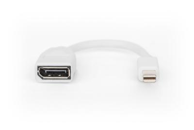Digitus DB-340405-001-W DisplayPort-kabel DisplayPort Adapter DisplayPort-stekker, Mini DisplayPort-stekker 0.15 m Wit