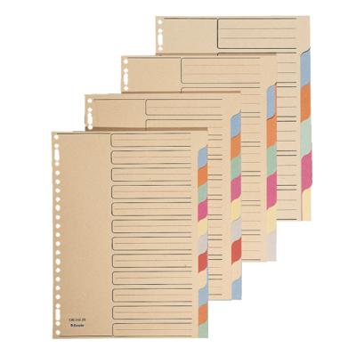 Esselte tabbladen voor ft A4 karton 7 tabs 23 perforatiegaten