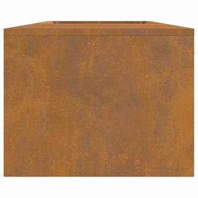 Vuurkorf Bruin 160 x 45 x 35 cm Cortenstaal