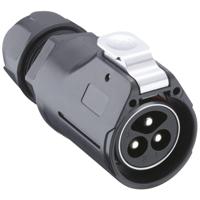 Lutronic 2850 03 T20CR T Ronde connector Stekker, recht 1 stuk(s) - thumbnail