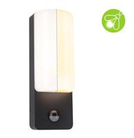 Paulmann Bonnie PIR Insect 94853 LED-buitenlamp (wand) LED 8.5 W Antraciet - thumbnail