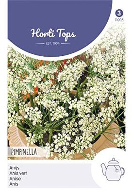 Zaden Anijs Hortitops - Hortitops Zaden Anijs Hortitops - Hortitops
