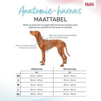 Hondentuigje Company of Animals Turkoois S 28-42 cm - thumbnail