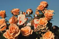 L&apos;Occitane Rose Hand Cream 75 ml Handverzorging - thumbnail