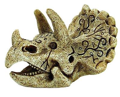 Skull Triceratops S aquaria Superfish - Superfish