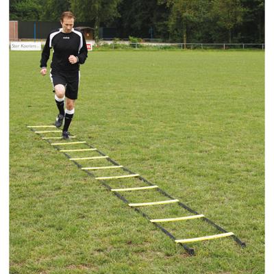 Sportec trainingsladder prof 6M