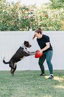 Jolly egg geel hondenspeelgoed 30 cm - thumbnail