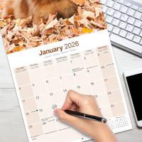 Chow Chow Kalender 2026 - thumbnail