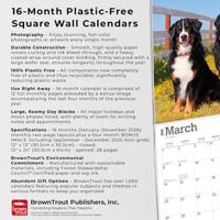 Berner Sennen Kalender 2026 - thumbnail