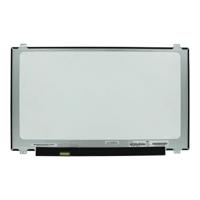 17.3 Inch LCD Scherm 1920x1080 Mat 30Pin eDP, IPS - thumbnail