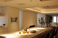 Panasonic Einbaurahmen Magnetronhouder - thumbnail