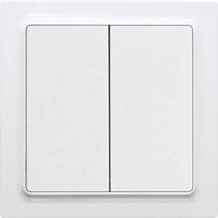 Eltako FT55EH-wg Toets ZigBee Opbouw (op muur) Bereik max. (in het vrije veld) 30 m - thumbnail