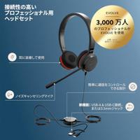 Jabra Evolve 20 SE Headset Bedraad Hoofdband Kantoor/callcenter USB Type-C / USB Type-A Zwart - thumbnail