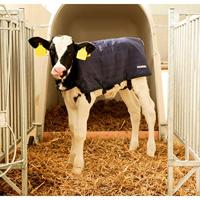 Abi Kalverdek easywear blauw 70cm - thumbnail