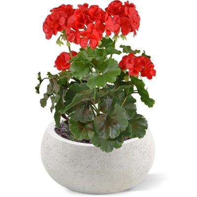 Geranium PL kunstplant 38cm - rood - UV bestendig
