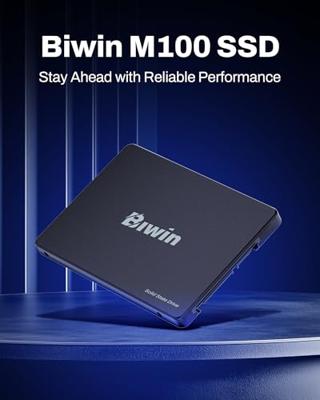 Hard Drive Biwin M100 1 TB SSD