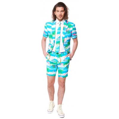 Summer Flamingo suit