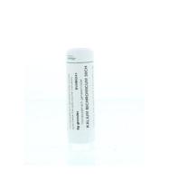 Homeoden Heel Kalium bichromicum 30CH 6 Gram - thumbnail