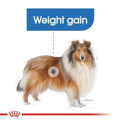 Royal Canin Maxi Light Weight Care hondenvoer 3 kg