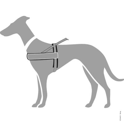 HUNTER HARNAS NORWEGER RACING NYLON BRUIN/COGNAC XL 72-90X3,8 CM