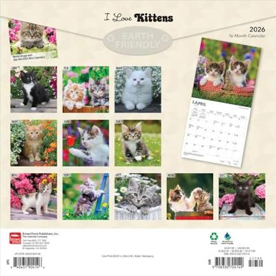 Kittens Kalender 2026