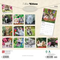 Kittens Kalender 2026 - thumbnail