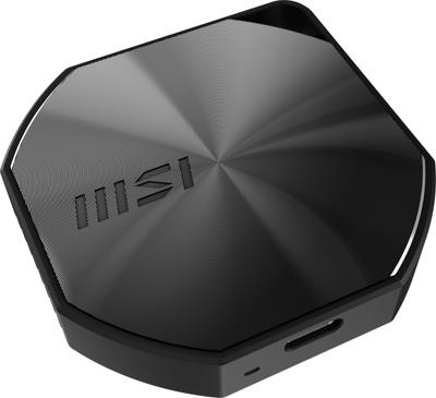 Externe Harde Schijf MSI DATAMAG Zwart 2 TB SSD