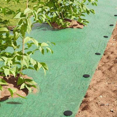 VidaXL Grondpennen 500 pcs zwart ø3 x 11 cm kunststof