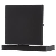 Busch-Jaeger 2CKA001751A3041 Uitschakelaar, Wisselschakelaar, Kruisschakelaar, Knop Afdekking Zwart, Diepzwart (RAL 9005) 1 stuk(s)