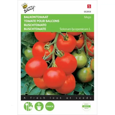 Balkontomaat Maja Balkontomaat Maja