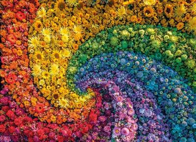 Clementoni Puzzel Colorboom Collection Werveling 1000 Stukjes