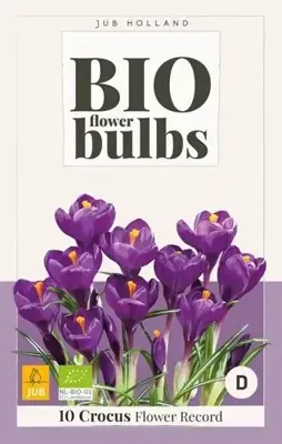 Bio Crocus Flower Record 10 bollen