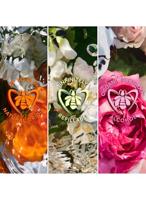 Guerlain Aqua Allegoria Flora Cherrysia Eau de Toilette 75ml - thumbnail