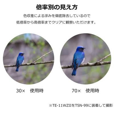 Kowa Zoom Oculair TE-11WZ II 25-60x/30-70x - thumbnail