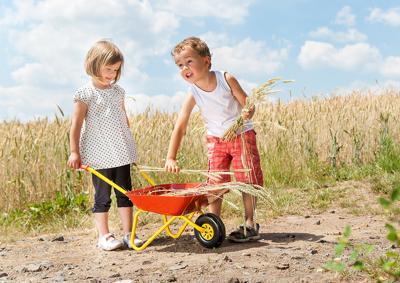 Rolly Toys Kruiwagen metaal rood
