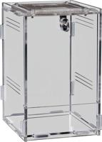 Repto terrarium clear 11,5x10x16,5 cm Aquadistri - Aquadistri - thumbnail