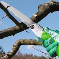 Takjeszaag inklapbaar snoeizaag tuinzaag stronkenzaag handzaag - thumbnail