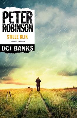 Stille blik - Peter Robinson - ebook