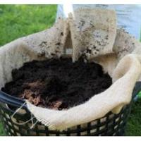 Vijvermand doek - thumbnail