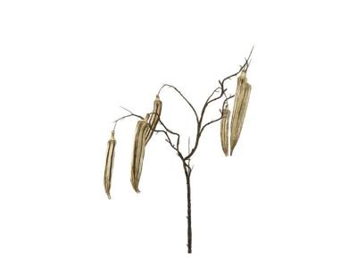 Kunstbloem Abelmoschus esculentus Countryfield - Countryfield