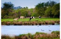 Tuindoek polder 210x140cm Customize-it - Customize it - thumbnail